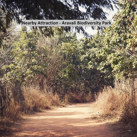 Oyo Dlf Cyber City Near Aravali Biodiversity Park Gurgaon Exteriör bild